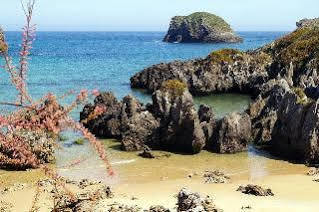 Apartamentos Albatros Llanes Exteriér fotografie